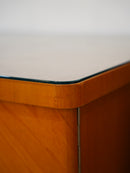 ガラストップデスク <br> ceroteantiques - ヴィンテージ SHARK ATTACK