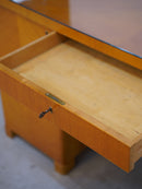 ガラストップデスク <br> ceroteantiques - ヴィンテージ SHARK ATTACK