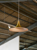 ペンダントランプ <br> 大和店