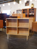 オークウッド オープンシェルフ<br> 大和店 - ヴィンテージ SHARK ATTACK