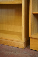 オークウッド シェルフ <br> 大和 - ヴィンテージ SHARK ATTACK