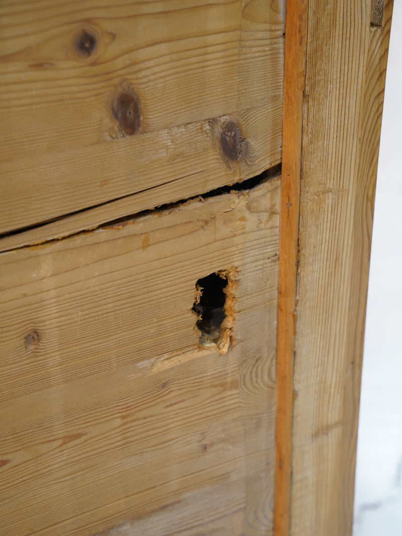 パインウッド キャビネット <br>大和店 - ヴィンテージ SHARK ATTACK