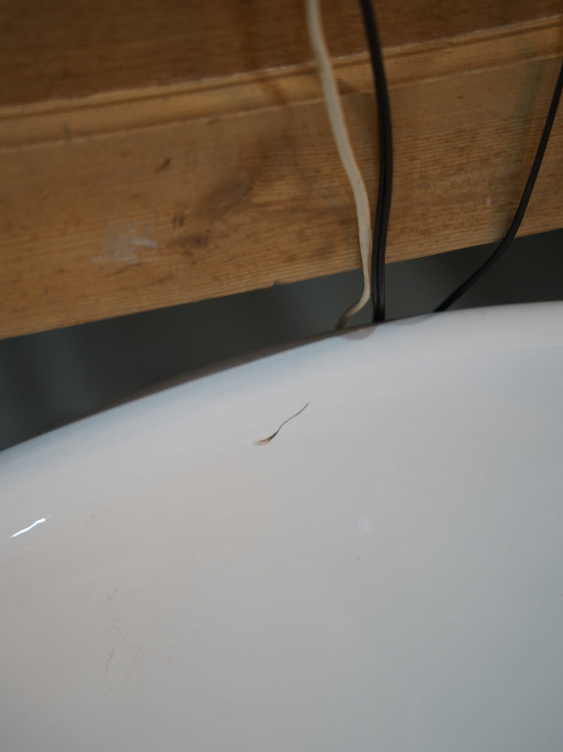 猫足バスタブ<br> 大和店 - ヴィンテージ SHARK ATTACK