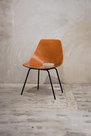 Maison du Monde , Pierre Guariche<br>アムステルダムチェア<br>1996 , France<br>bob's box - ヴィンテージ SHARK ATTACK