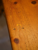 パインウッド ダイニングテーブル<br> 大和店