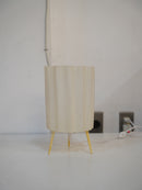 デスクランプ <br> 1960s , Germany<br>cerote antiques