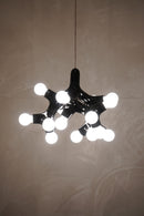 NEXT社 Büro für Form Studio<br>DNA Chandelier<br>2012 , Germany <br>cerote antiques - ヴィンテージ SHARK ATTACK
