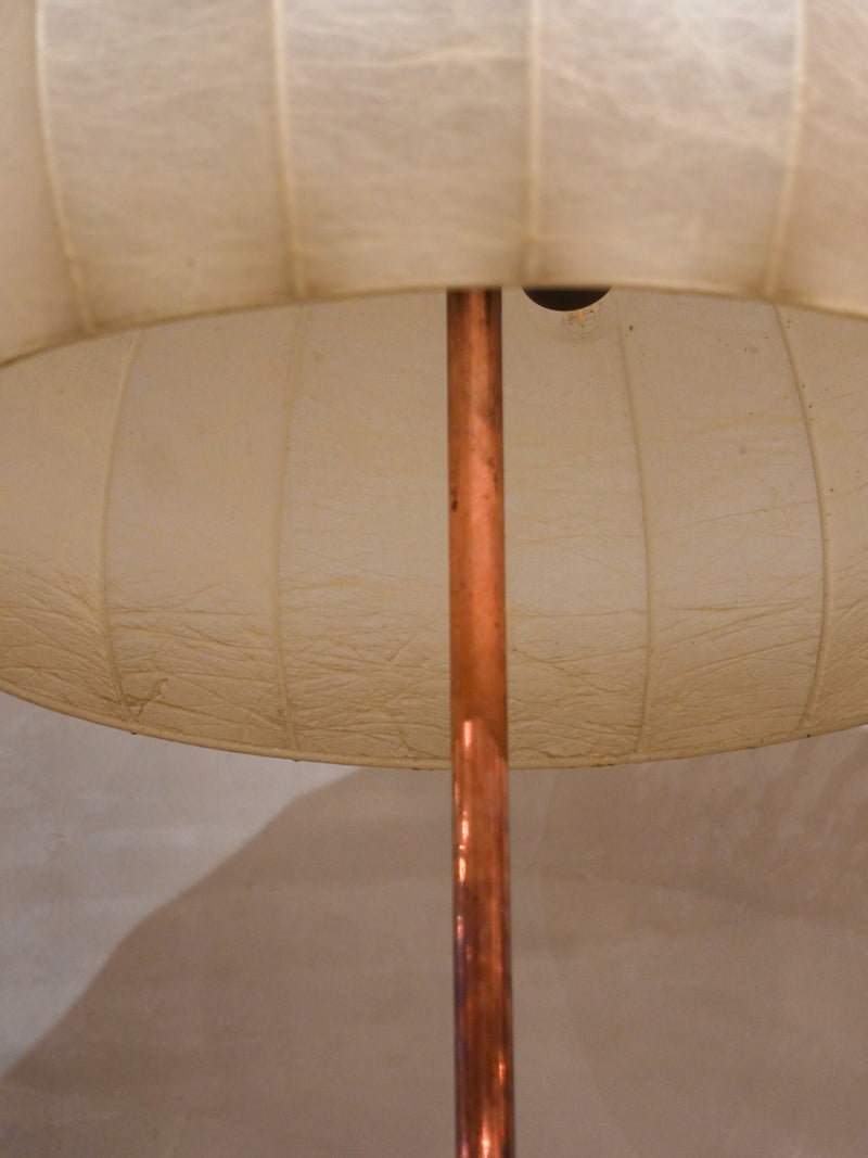 コクーン フロアランプ<br>1960's <br>bob's box - ヴィンテージ SHARK ATTACK