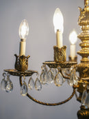 8灯 シャンデリア <br> 大和店