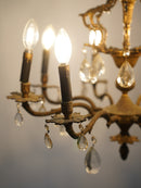 8灯 シャンデリア <br> 大和店