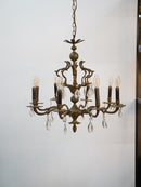 8灯 シャンデリア <br> 大和店