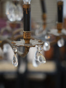 8灯 シャンデリア <br> 大和店