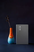 Christmas Item Box NO.4 <br> Vase 2602