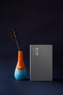 Christmas Item Box NO.4 <br> Vase 2602