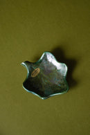 Tropischer Noel <br>南国のクリスマス <br>あたたかく軽やかな彩りのあるセット