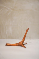 アシカモチーフ ウッドオブジェ <br>bob's box - ヴィンテージ SHARK ATTACK