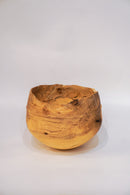 駒田雄蔵<br>器 , モチノキ<br>bob's box - ヴィンテージ SHARK ATTACK