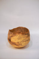 駒田雄蔵<br>器 , モチノキ<br>bob's box - ヴィンテージ SHARK ATTACK