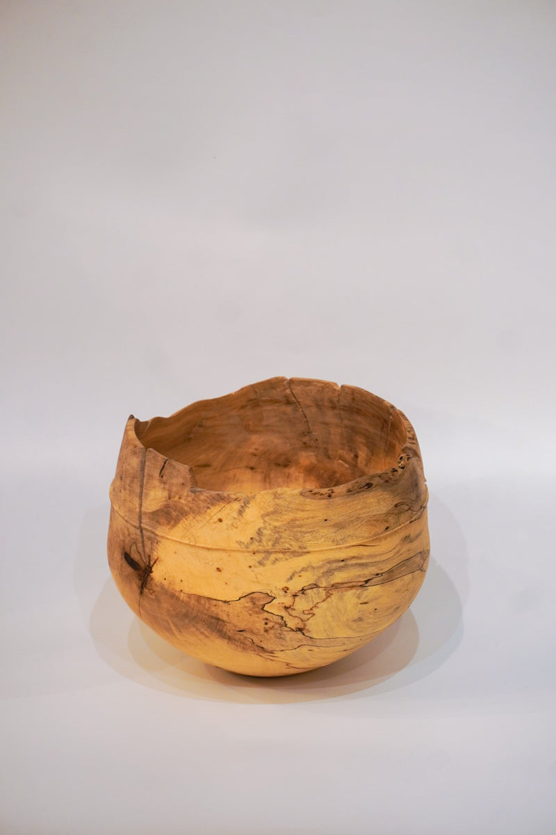 駒田雄蔵<br>器 , モチノキ<br>bob's box - ヴィンテージ SHARK ATTACK