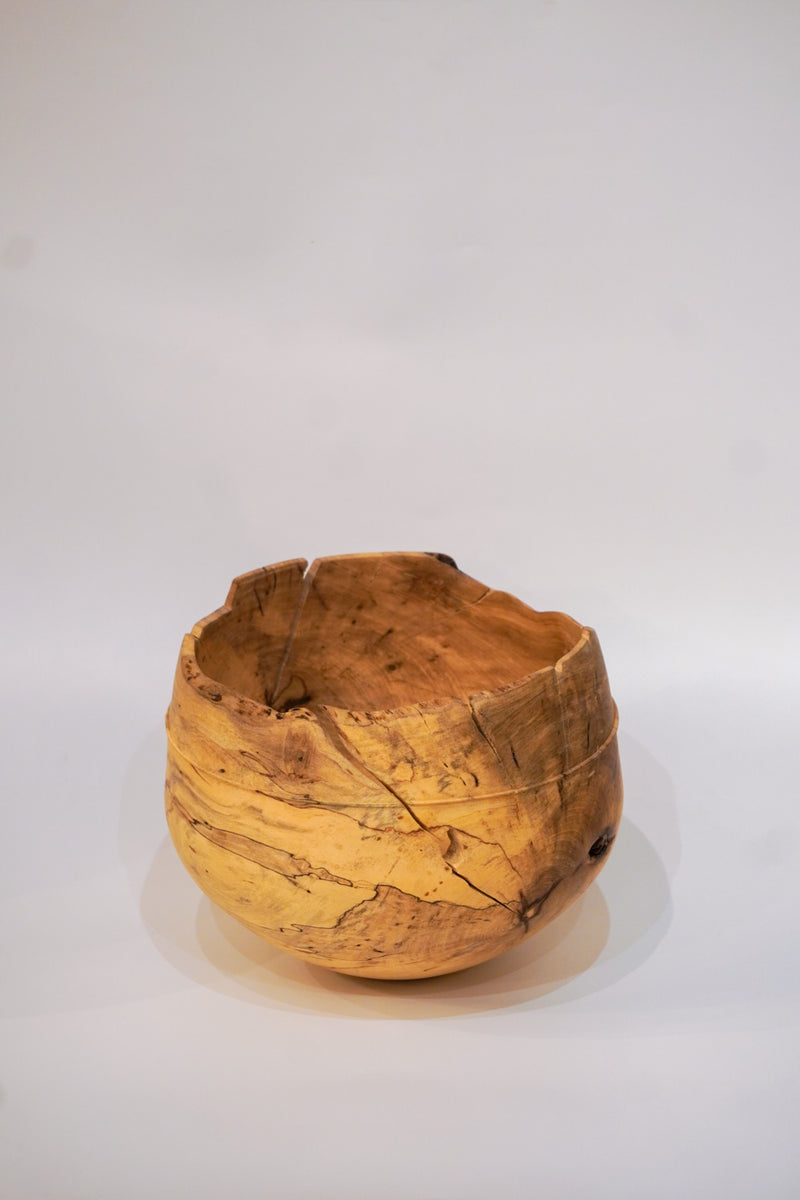 駒田雄蔵<br>器 , モチノキ<br>bob's box - ヴィンテージ SHARK ATTACK