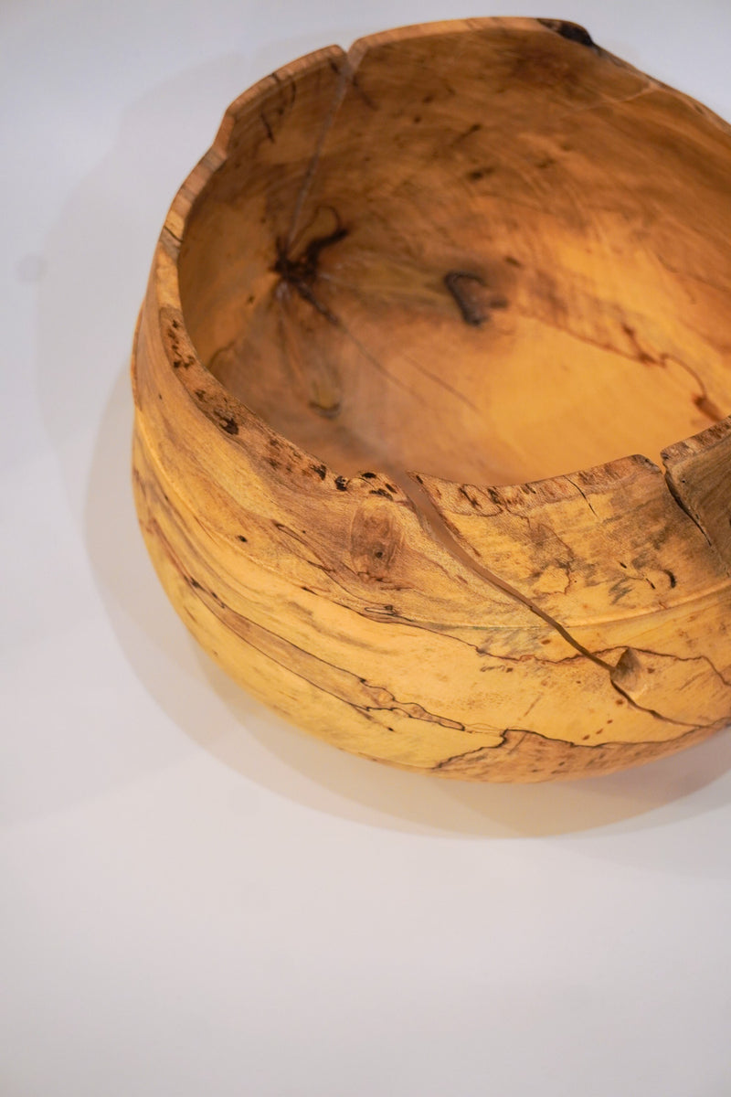 駒田雄蔵<br>器 , モチノキ<br>bob's box - ヴィンテージ SHARK ATTACK