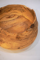 駒田雄蔵<br>器 , モチノキ<br>bob's box - ヴィンテージ SHARK ATTACK