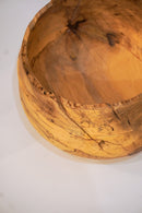 駒田雄蔵<br>器 , モチノキ<br>bob's box - ヴィンテージ SHARK ATTACK