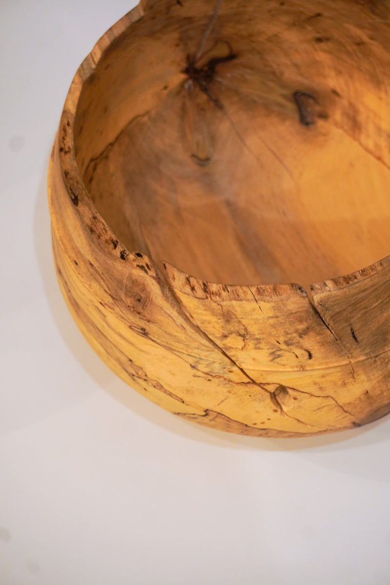 駒田雄蔵<br>器 , モチノキ<br>bob's box - ヴィンテージ SHARK ATTACK