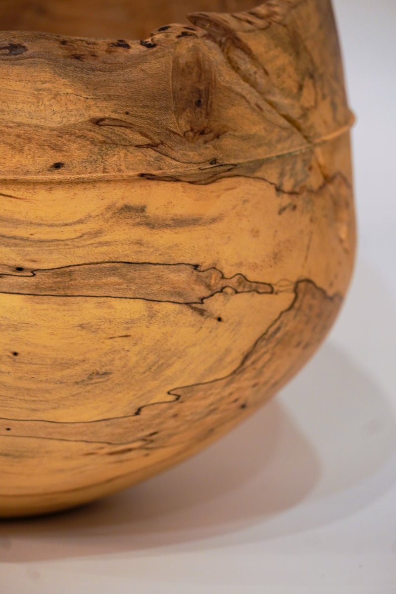 駒田雄蔵<br>器 , モチノキ<br>bob's box - ヴィンテージ SHARK ATTACK