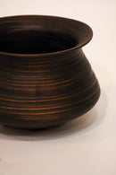 駒田雄蔵<br>器 , アンズ<br>bob's box - ヴィンテージ SHARK ATTACK