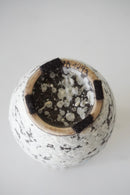 Fat Lava <br>セラミック フラワーベース <br>bob's box - ヴィンテージ SHARK ATTACK