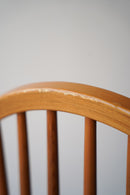 フープバックチェア <br>大和店 - ヴィンテージ SHARK ATTACK