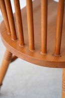 フープバックチェア <br>大和店 - ヴィンテージ SHARK ATTACK