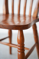 ダイニングチェア <br>大和店 - ヴィンテージ SHARK ATTACK