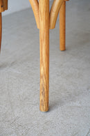 ベントウッド ダイニングチェア <br>TAMAGAWA BASE - ヴィンテージ SHARK ATTACK