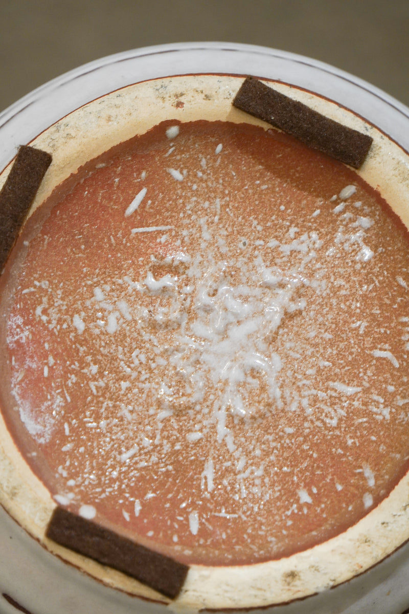 Scheurich <br>セラミック フラワーベース<br>bob's box - ヴィンテージ SHARK ATTACK