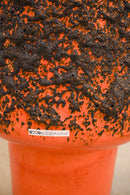 Otto Keramik <br>Vase 210XXL <br>Otto Keramik Tokyo - ヴィンテージ SHARK ATTACK