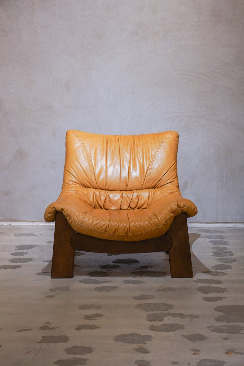 Maison Regain <br>レザーソファ (A) <br>1970's ,France <br>bob's box - ヴィンテージ SHARK ATTACK