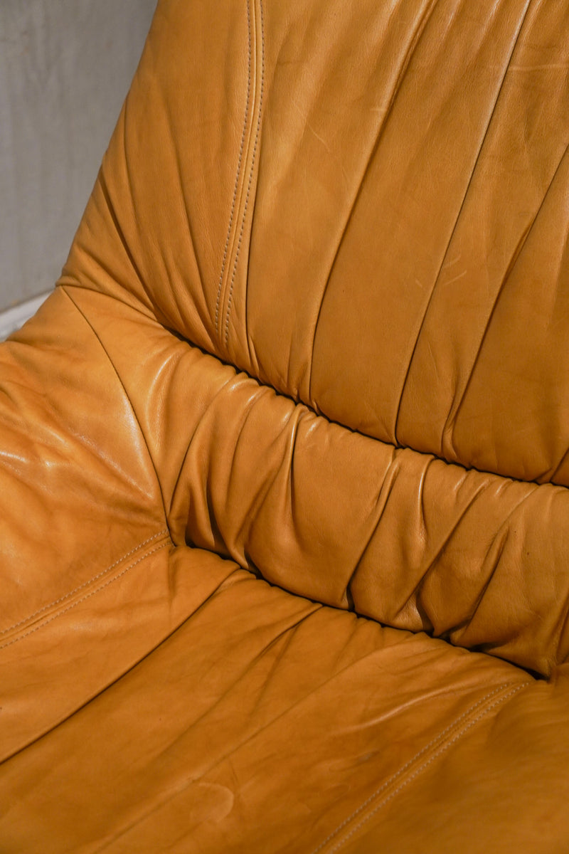 Maison Regain <br>レザーソファ (A) <br>1970's ,France <br>bob's box - ヴィンテージ SHARK ATTACK