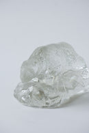 シロクマ オブジェ<br>bob's box - ヴィンテージ SHARK ATTACK