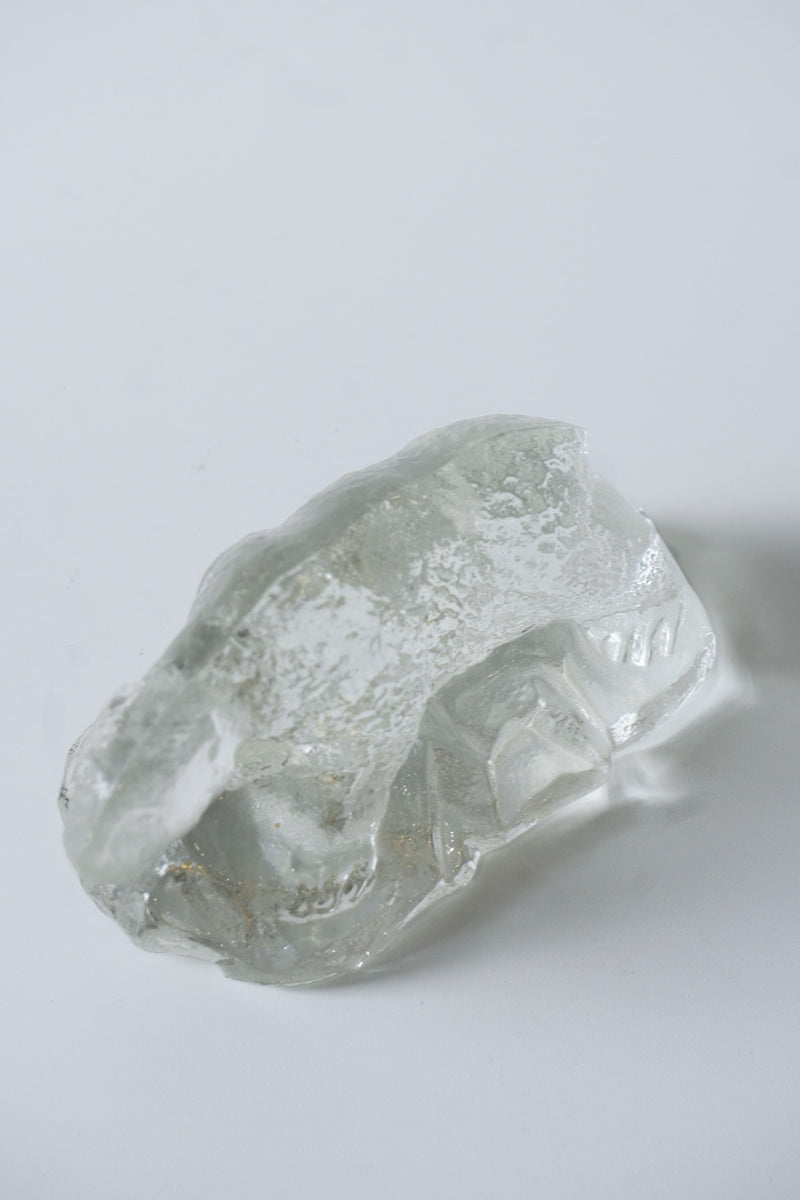 シロクマ オブジェ<br>bob's box - ヴィンテージ SHARK ATTACK