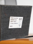 TRIO Leuchten <br>テーブルランプ <br>2003 , Germany <br>cerote antiques