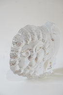 Skruf社<br>ライオンオブジェ <br>Sweden<br>bob's box - ヴィンテージ SHARK ATTACK