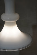 Holmegaard社製 ペンダントランプ<br>1980's , Denmark<br>bob's box - ヴィンテージ SHARK ATTACK