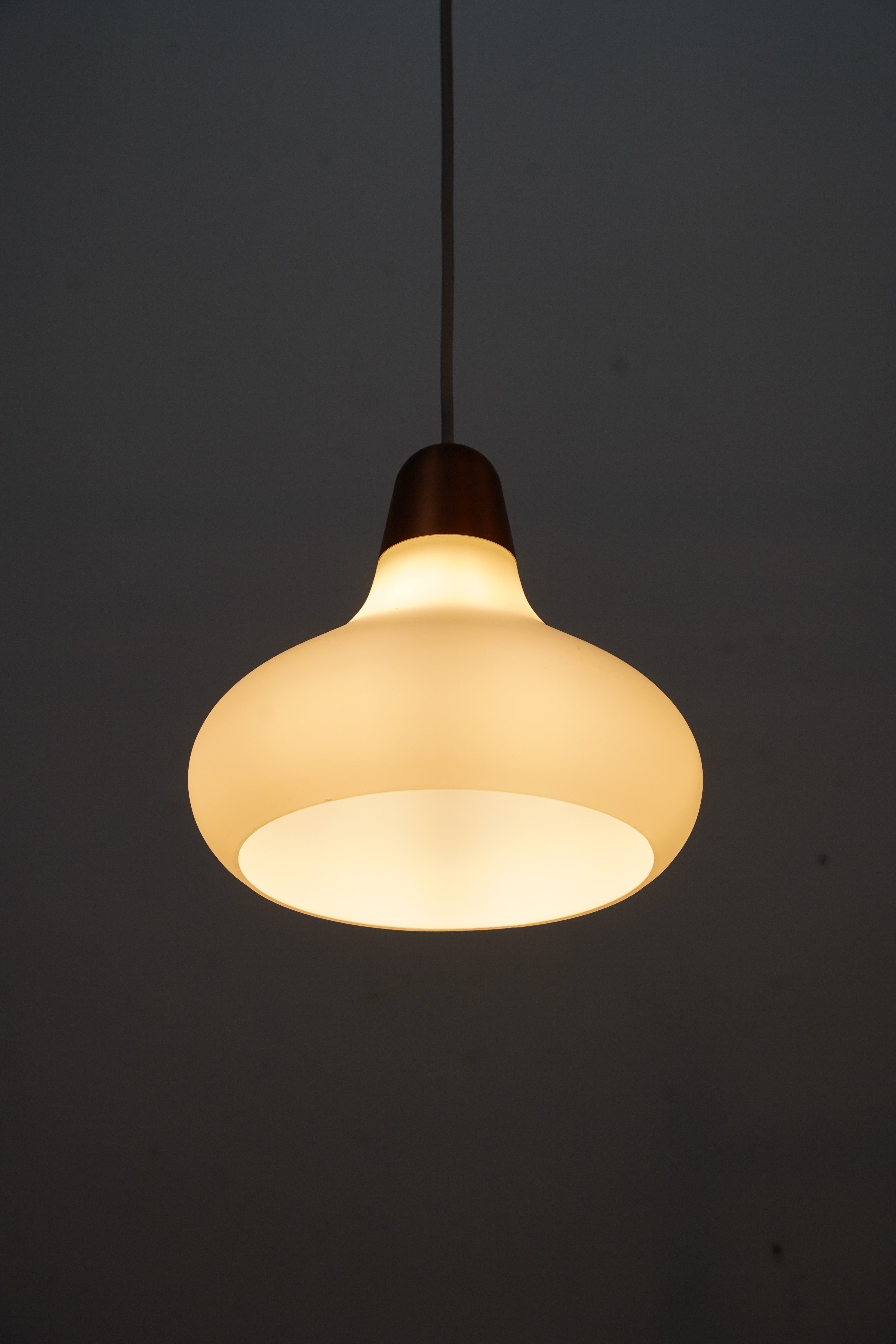 LIGHT – SHARK ATTACK ONLINE SHOP