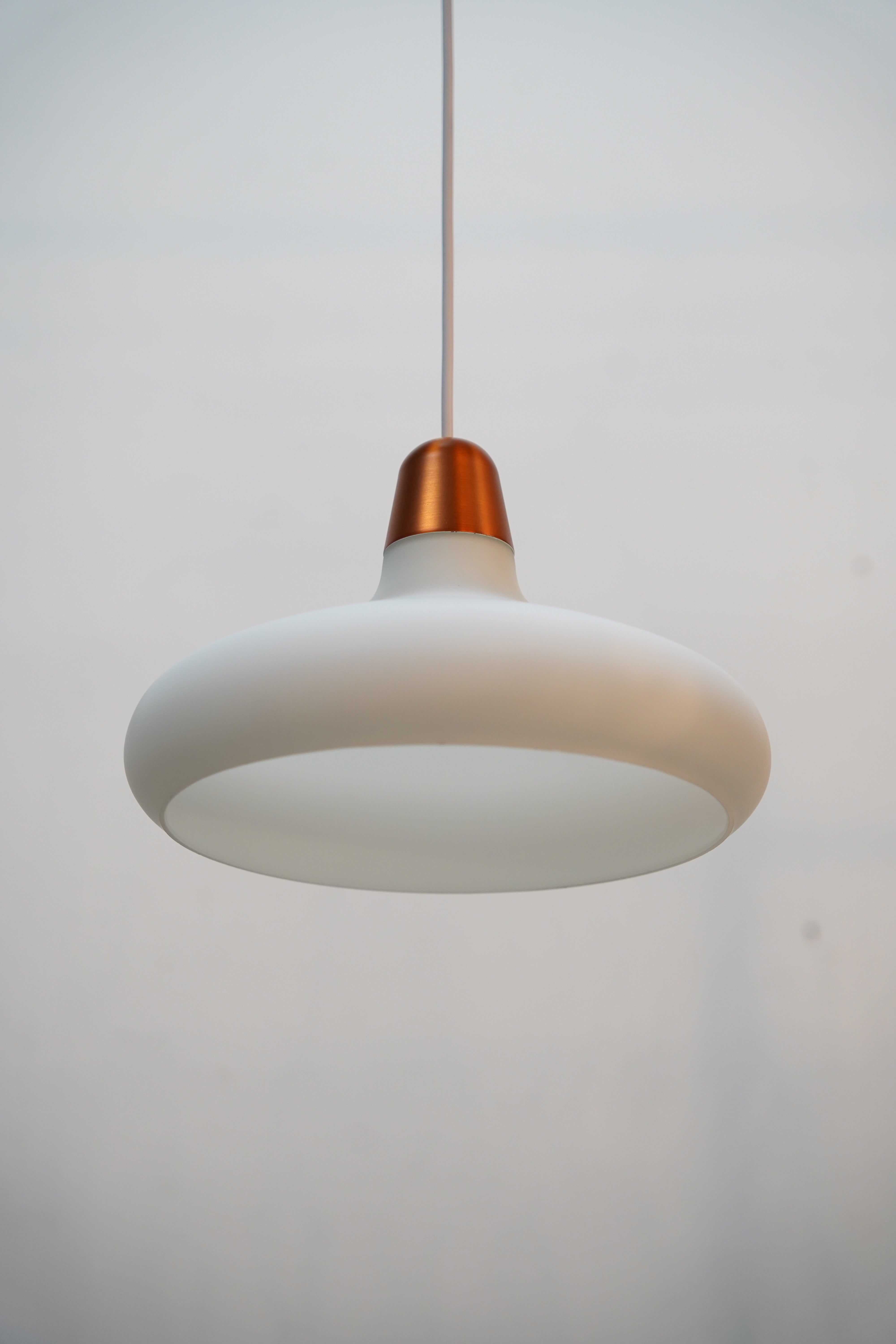 LIGHT – SHARK ATTACK ONLINE SHOP
