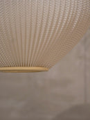 Høyrup Lighting社 , Lars Schiøler<br>ペンダントランプ<br>1960's , Denmark<br>cerote anntiques - ヴィンテージ SHARK ATTACK