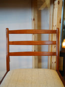 ダイニングチェア <br> 大和店 の写真- SEATING