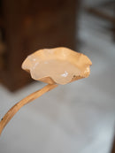 アイアン プラントスタンド <br> 大和店 - ヴィンテージ SHARK ATTACK