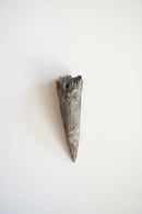 荒川蓮太郎<br>掛花入 - ヴィンテージ SHARK ATTACK